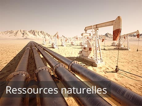 Natural resources business customers