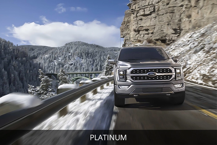 Platinum Ford F150