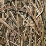MossyOak Blades
