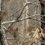 Realtree AP Grey
