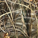 Realtree Max-4