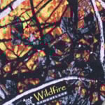 Wildfire